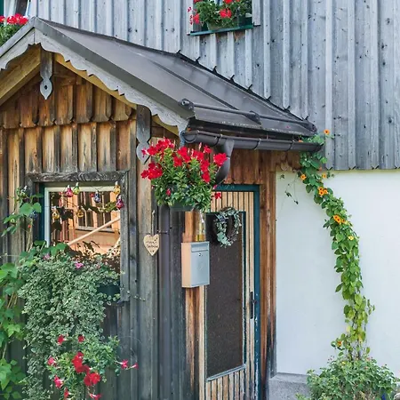 - Your Austrian التوسي